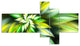 Exotic Green Fractal Spiral Flower, Abstract Canvas Art Print, 60"x32", 5 panels