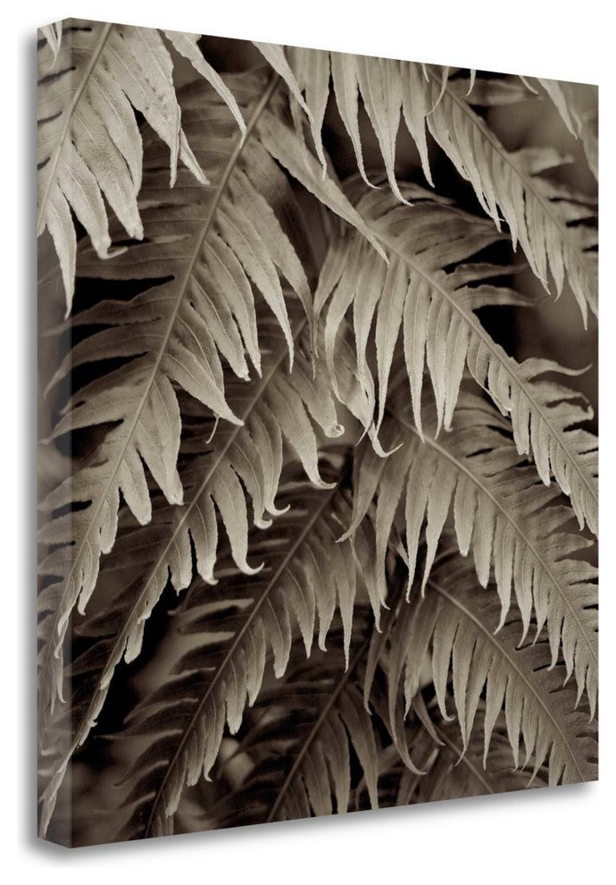 "Florison - 51" By Alan Blaustein, Giclee Print on Gallery Wrap Canvas