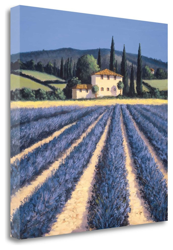 "Colors Of Summer" By David Short, Giclee Print on Gallery Wrap Canvas