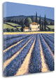 "Colors Of Summer" By David Short, Giclee Print on Gallery Wrap Canvas