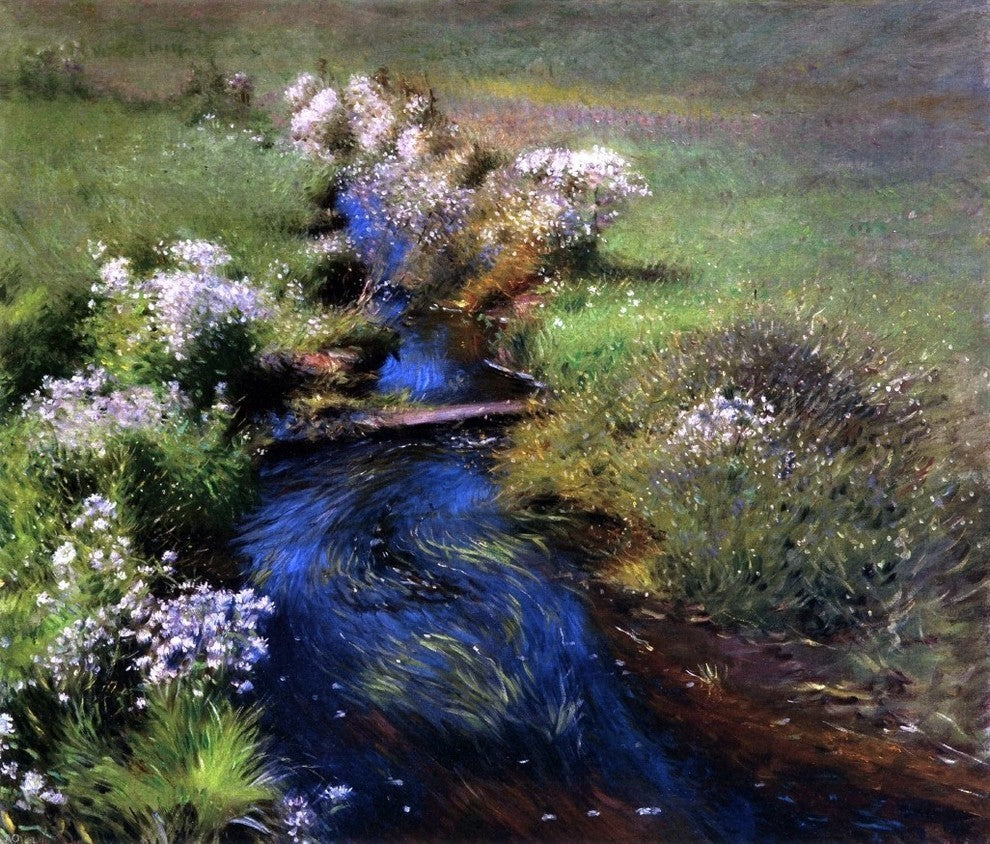 Dennis Miller Bunker Wild Asters Premium Canvas Print