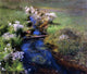 Dennis Miller Bunker Wild Asters Premium Canvas Print