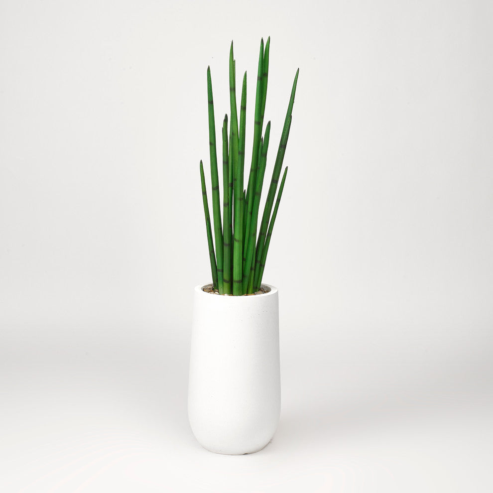 Alternate white-background shot; full product on white background (alternate white full).