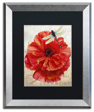 Color Bakery 'Le Pavot Dragonfly', Silver Frame, Black Mat, 16x20