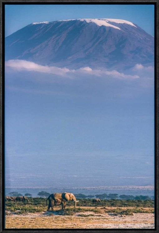 "Kilimanjaro And The Quiet Sentinels"  by Jeffrey C. Sink, 16x23"