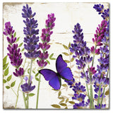 Color Bakery 'Lavender I' Canvas Art, 35x35