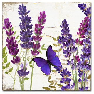 Color Bakery 'Lavender I' Canvas Art, 35x35