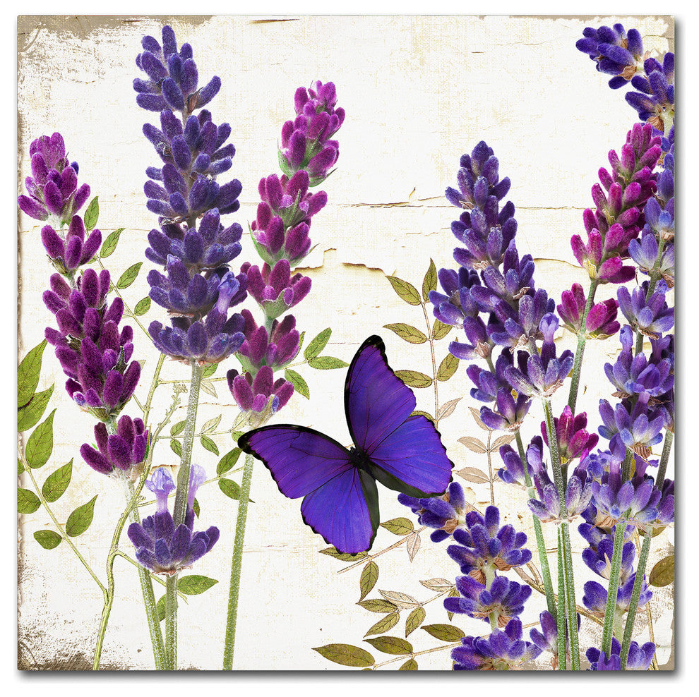 Color Bakery 'Lavender I' Canvas Art, 35x35
