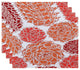 Olivia, Floral Print Placemat, Coral