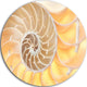 Golden Nautilus Shell Pattern, Abstract Art Round Metal Wall Art, 23"