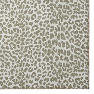 Safari Asf32 Taupe 2'3" X 7'6"
