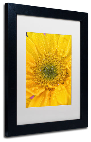 PIPA Fine Art 'Joyful Color' Matted Framed Art, 14x11