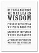 ''Three Ways to Wisdom III'' Canvas Art by Megan Romo