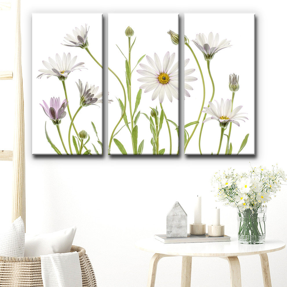 Ready2HangArt 'Cape Daisies' 3-Piece Canvas Wall Decor Set, 60"x40"