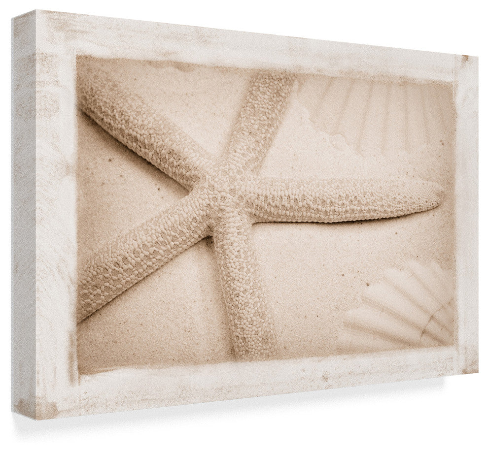 "Starfish, Shells And Sand" by Cora Niele, Canvas Art, 12"x19"