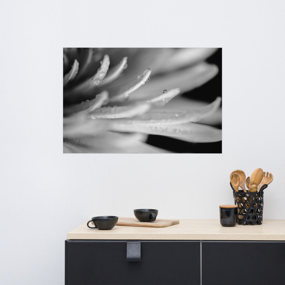 Droplets on Petals Black & White Floral Photo Unframed Wall Art Print, 24" X 36"