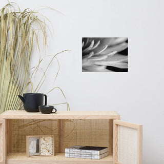 Droplets on Petals Black & White Floral Photo Unframed Wall Art Print, 12" X 16"