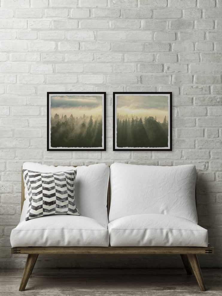 Sunlight Through Trees Diptych, 2-Piece Set, 32x32 Panels