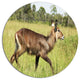 Waterbuck Antelope In Green Grass, African Disc Metal Wall Art, 36"
