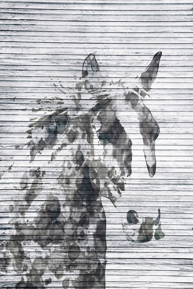 Marmont Hill, "Sabino Horse" by Irena Orlov Painting on Wrapped Canvas, 20x30