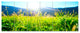 Beautiful Green Nature Wonder, Landscape Canvas Art Print, 70"x28", 6 Panels