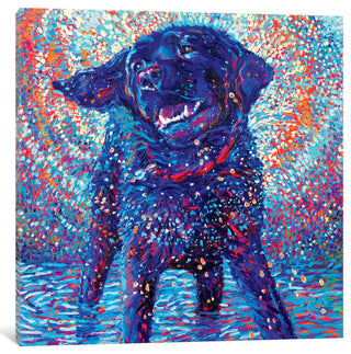 Canines & Color by Iris Scott