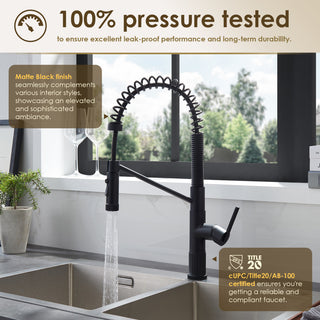 Nette Single-Handle Kitchen Faucet With Pull Down Sprayer, Matte Black