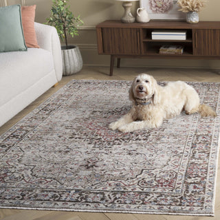 Safavieh Antique Patina ANP642 Rug, Beige/Brown, 9'x11'6"