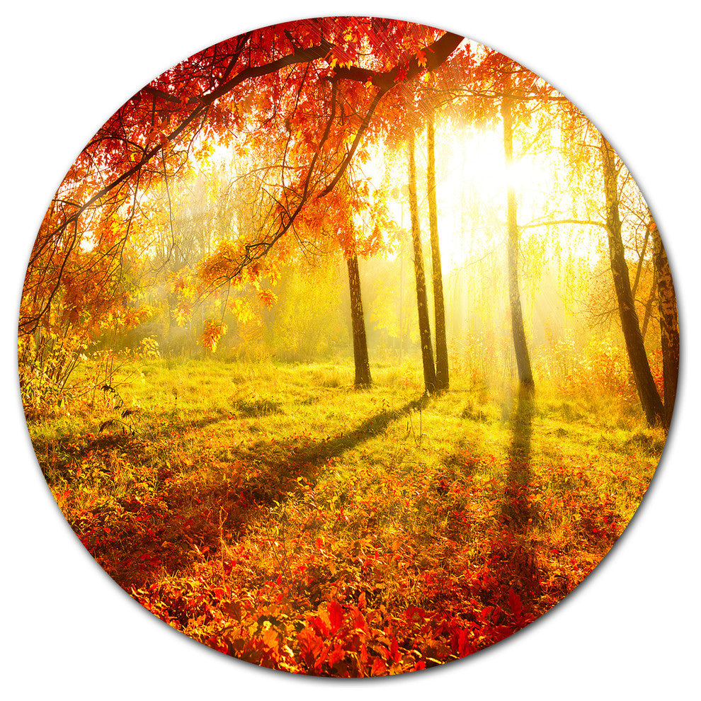 Yellow Red Fall Trees And Leaves, Landscape Disc Metal Artwork, 23"