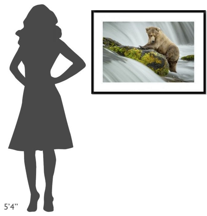 "Left Wanting" Framed Digital Print by Renee Doyle, 38"x28"