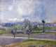 Camille Pissarro Valhermeil near Oise, Rain effect Wall Decal Print