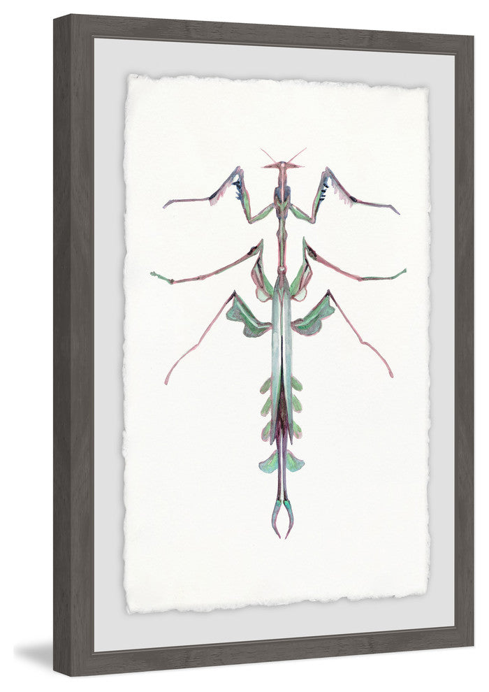 "Leafy Bug" Framed Painting Print, 20"x30"
