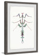 "Leafy Bug" Framed Painting Print, 20"x30"