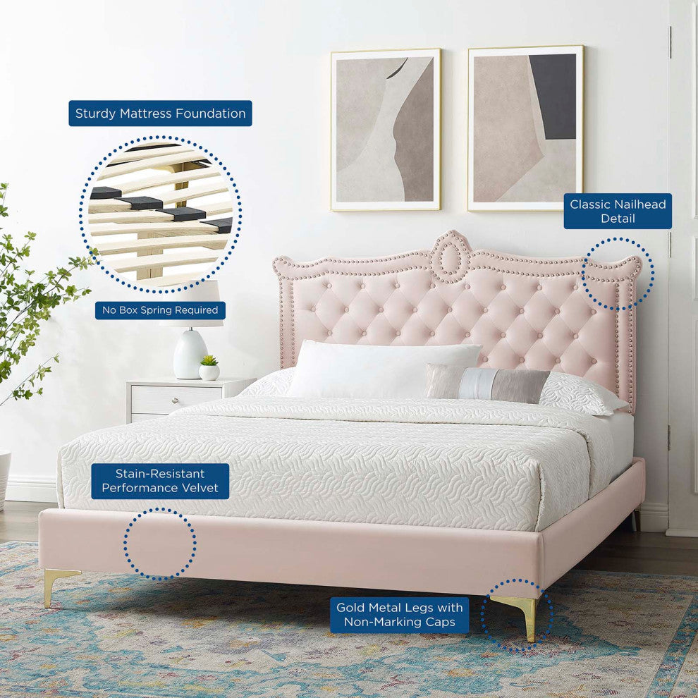 Platform Bed Frame, Nailhead, Queen Size, Pink, Velvet, Modern, Guest Suite
