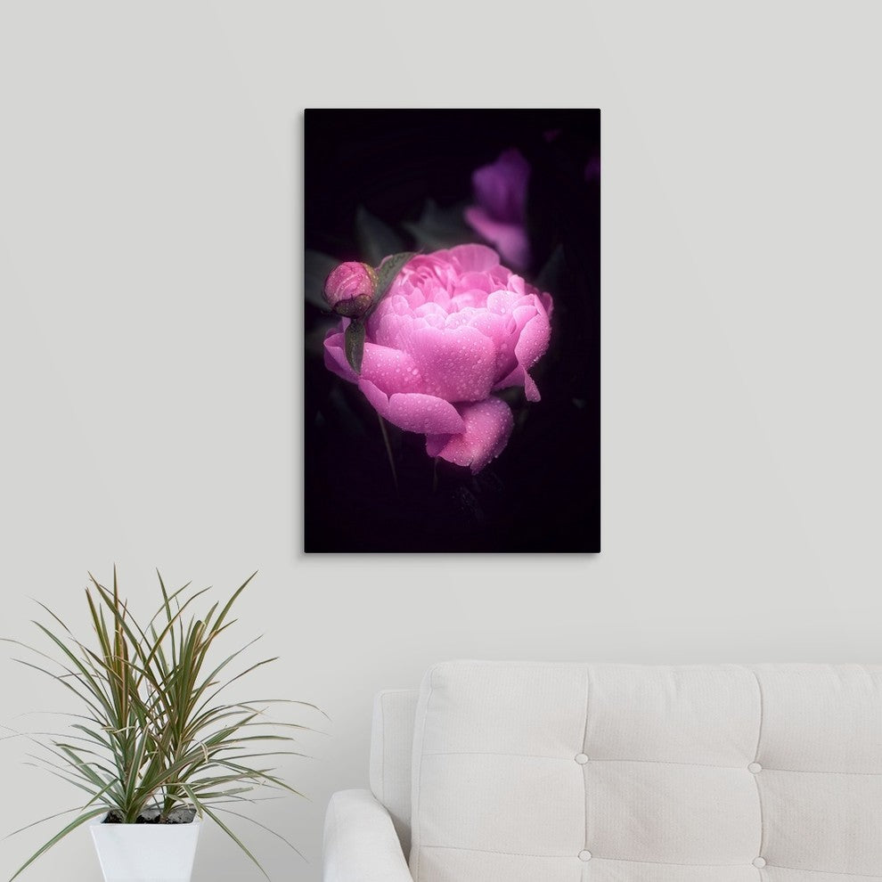 "Pink Peony" Wrapped Canvas Art Print, 16"x24"x1.5"