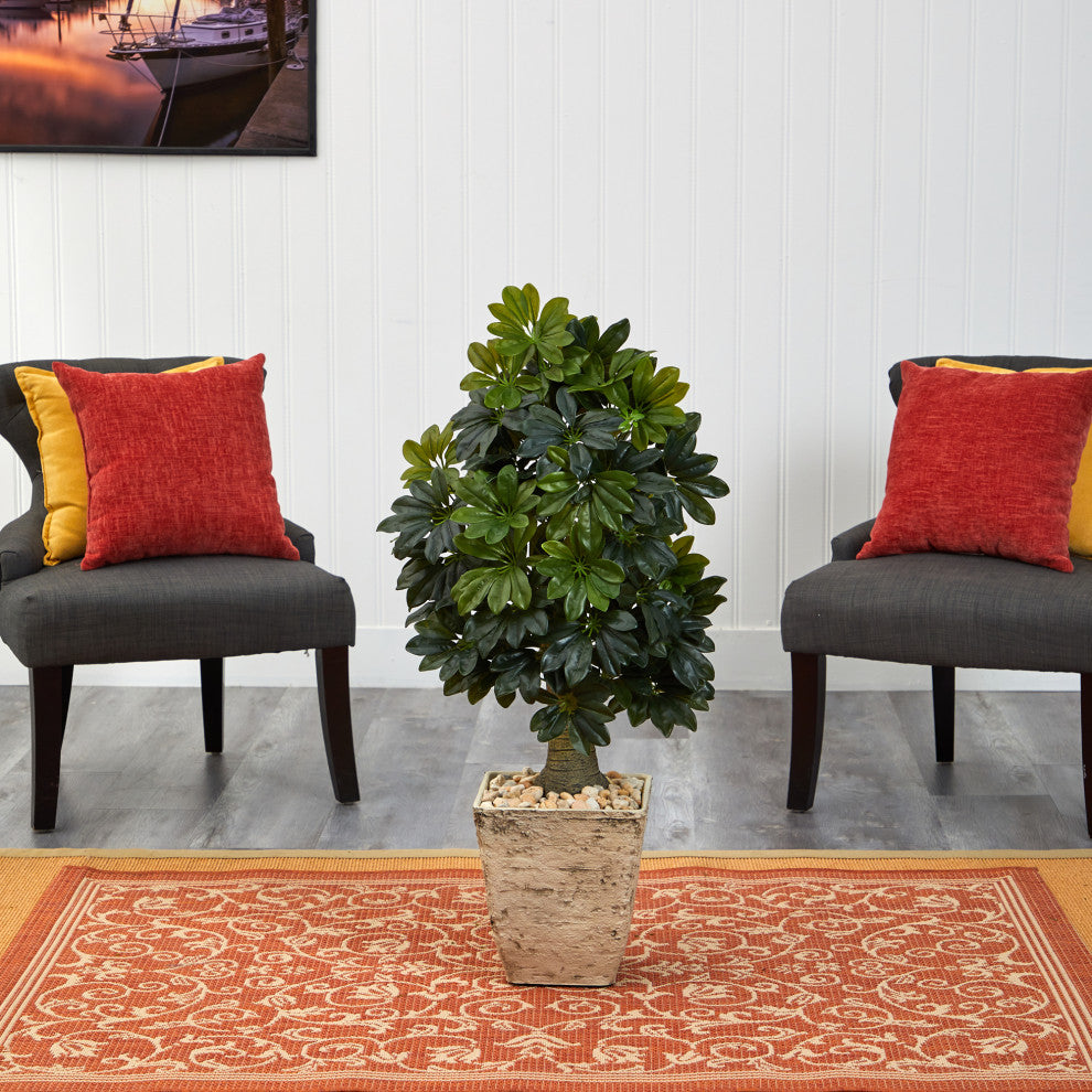 Lifestyle image: plant placed in a living area with chairs, demonstrating scale in a real setting.
