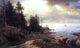 William Stanley Haseltine View of Mount Desert Wall Decal