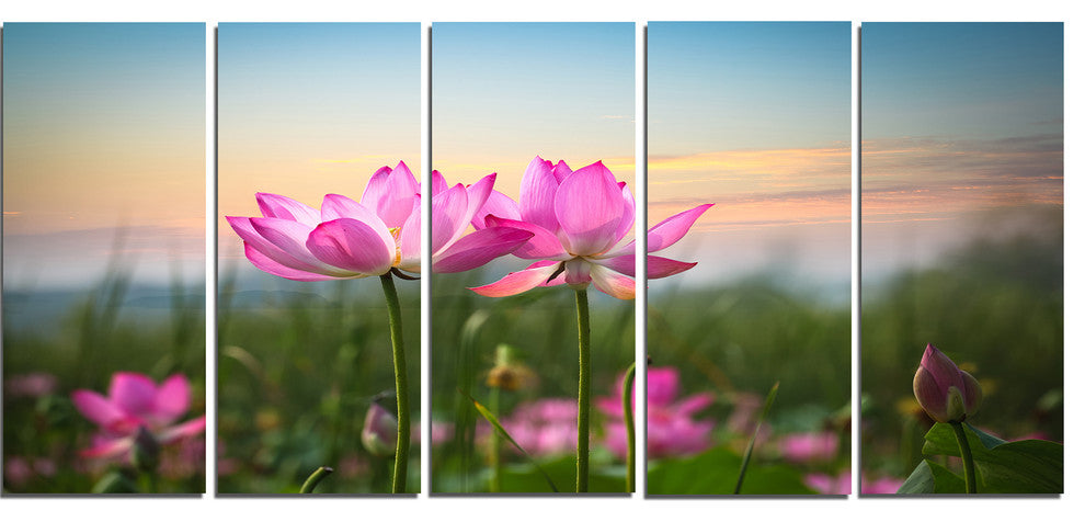 "Blooming Lotus Flowers at Sunset" Floral Canvas Photo Print, 5 Panels, 60"x28"