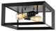 Marfa Square 13" 2-Light Iron Farmhouse LED Flush Mount, Oil Rubbed Bronze