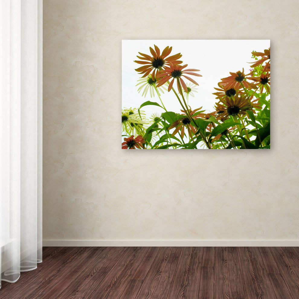 'Orange Coneflowers' Canvas Art by Kathie McCurdy