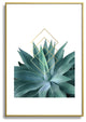 Gale Switzer Agave geometrics Metal Framed Art Print