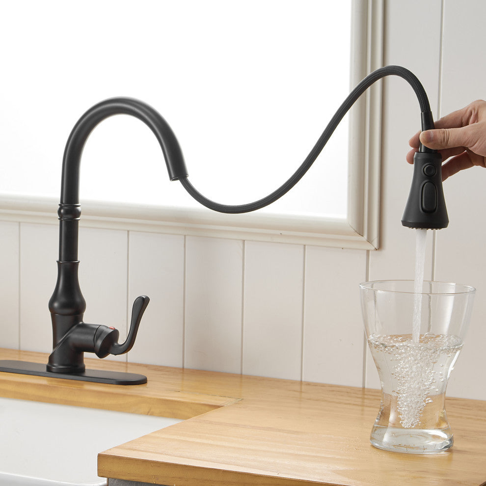Wellfor Single Level Stainless Steel Kitchen Faucet With Pull Down Spray, Matte Black