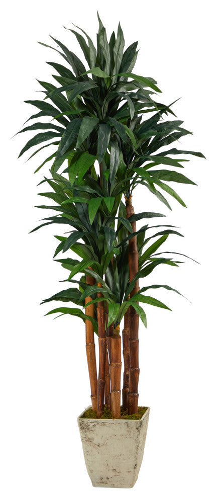 69" Dracaena Artificial Tree, Country White Planter