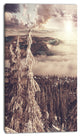 Dark Winter Scene At Sunset, Landscape Wall Art on Canvas, 16"x32"