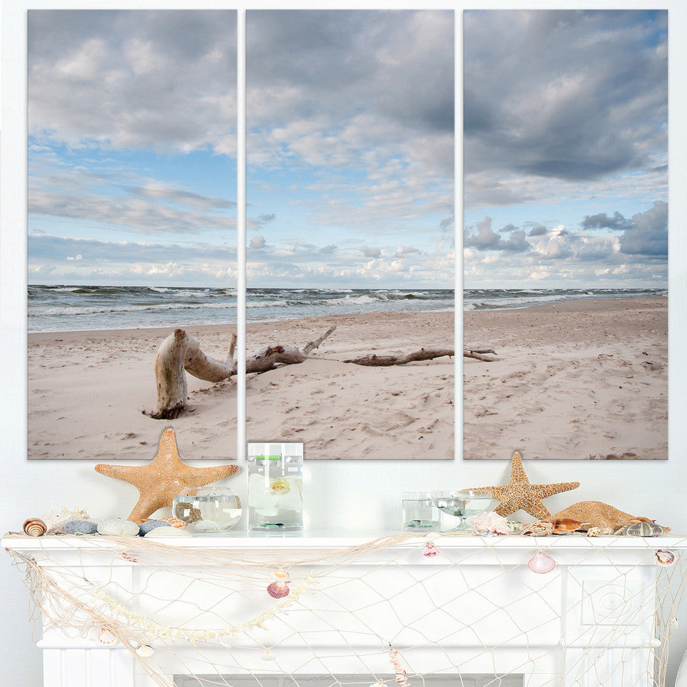 "Large Piece of Wood on Beach" Metal Wall Art, 3 Panels, 36"x28"