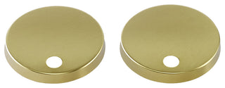 Toilet Hardware Brushed Gold for Wall Hung Toilets