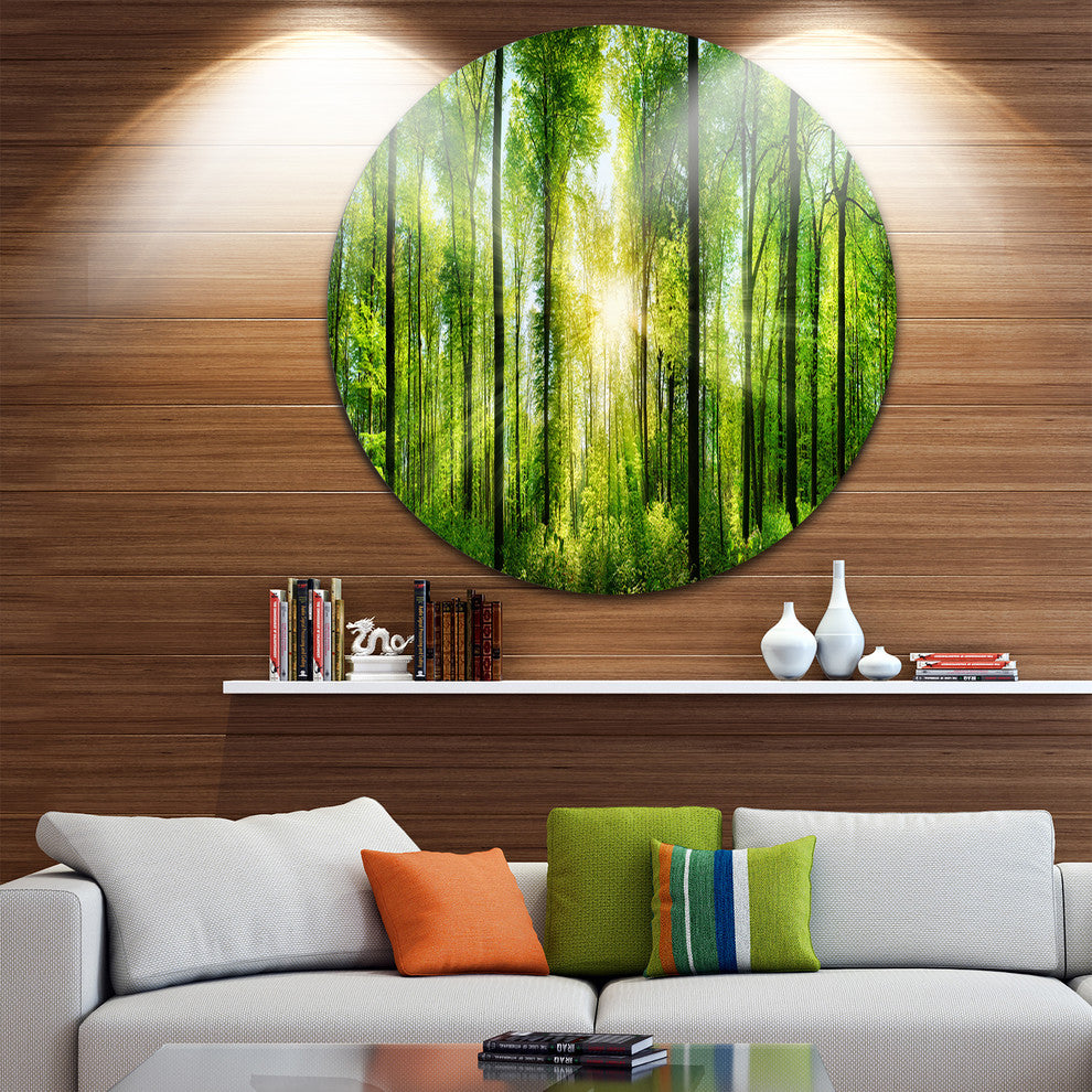 Forest With Rays Of Sun Panorama, Landscape Disc Metal Wall Art, 36"