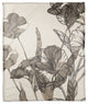 Botanical Sketches 50 x 60 Coral Fleece Blanket