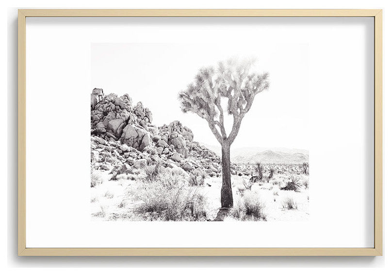 Bree Madden Rocky Desert Recessed Framing Rectangle