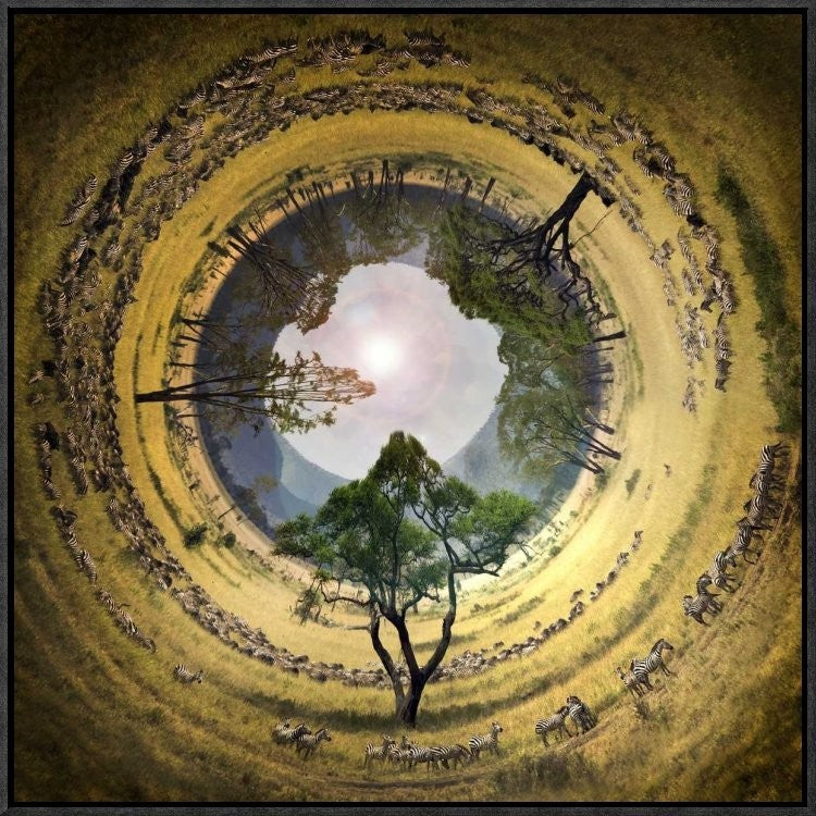 "Untitled" Framed Canvas Giclee by Ghizzi Panizza Alberto, 23x23"